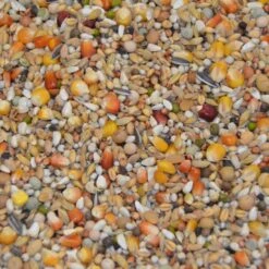 Vanrobaeys Nr.37 Jungtauben Exclusiv 20kg