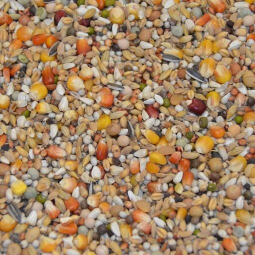 Vanrobaeys Nr.37 Jungtauben Exclusiv 20kg