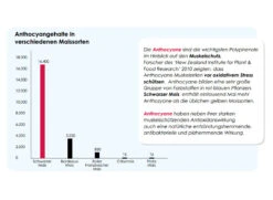 Versele Start Plus I.C.⁺ 20kg -Tierbedarf Laden antioxidantien 29