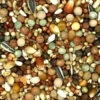 Beyers 49 - Olympia Zucht- & Jungtauben Mit Mais 25kg -Tierbedarf Laden beyers 49 web