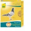 Cede Eifutter Für Tauben 5kg -Tierbedarf Laden cede eifutter fr tauben 5kg