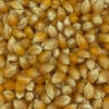 Mais Cribbs, Klein Nr.198 Vanrobaeys 25kg -Tierbedarf Laden cribbsmais klein0