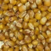 Mais Cribbs Nr.78 Vanrobaeys 25kg -Tierbedarf Laden cribbsmais0