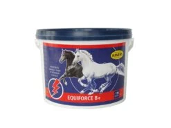 Havens EquiForce B+ 1000g