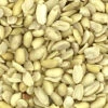 GEVO Erdnüsse Blanchiert 25kg -Tierbedarf Laden erdnsse blanchiert web