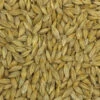 Gerste Gestutzt - Vanrobaeys 25kg
