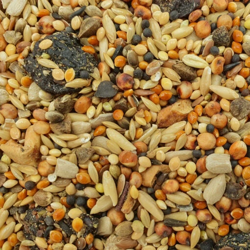Gevo Wildvogelfutter Mit Früchten 25kg