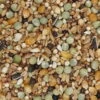 Gladen Rassetauben Mit Mais 25kg -Tierbedarf Laden gladen rassetauben mit mais