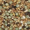 Gladen Rassetauben Ohne Mais 25kg -Tierbedarf Laden gladen rassetauben ohne mais0