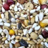 Gladen Jungtauben 25kg -Tierbedarf Laden gladen jungtauben web