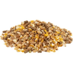 Versele Gold 4 Mix 20kg -Tierbedarf Laden gold4mixl