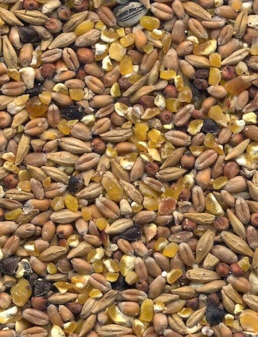 Havens Scharrel-Graan - Körnerfutter 25kg – Bild 3