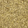 VERSELE-LAGA Hafer Derby - Versele 25kg -Tierbedarf Laden hafer derby