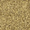 Haferkerne - Vanrobaeys 25kg -Tierbedarf Laden haferkerne2