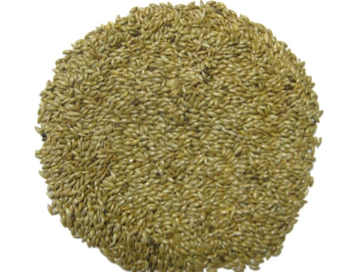 Kanariensaat - Versele 25kg – Bild 2
