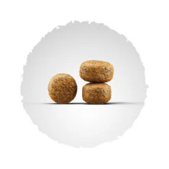 Tierbedarf Laden -Tierbedarf Laden kroketten balance2