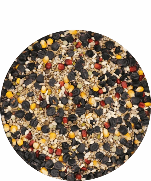Versele Master Black 20kg