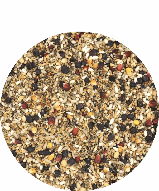 Versele Master R Exclusiv 20kg