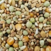 Matador Premium Zucht 25kg