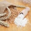 Buchweizenmehl 5kg -Tierbedarf Laden mehlgetreide xs6