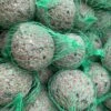 Meisenknödel 100er -Pack