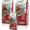 Bewi Dog Sport 25kg -Tierbedarf Laden rs2801 bd sport gruppe frei 130903 mg