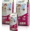 Bewi Dog H-Energy 25kg -Tierbedarf Laden rs2811 bd h energy gruppe 130903 mg