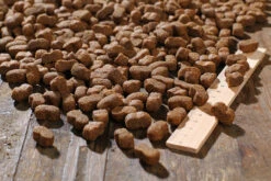 Bewi Dog Junior 12,5kg -Tierbedarf Laden rs2899 junior kroketten lineal img 1767b klein