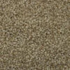 Sesamsaat - Vanrobaeys 25kg -Tierbedarf Laden sesam