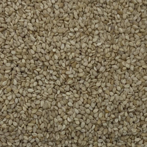 Sesamsaat - Gladen 2,5kg