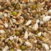 Beyers Premium Sämereien Exclusiv 20Kg -Tierbedarf Laden smexkl