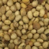 Soja GVO-Frei - Spinne 25kg