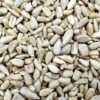 Sonnenblumenkerne Geschält - Vanrobaeys 25kg -Tierbedarf Laden versele sonnenblumenkerne geschaelt web1