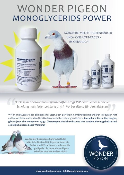 Wonder Pigeon 1000ml – Bild 2